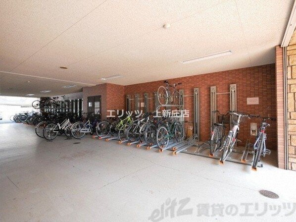 Choei65 プレジオ中津の物件内観写真